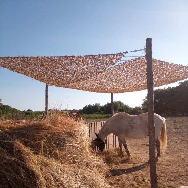 Red camuflaje triangular color arena