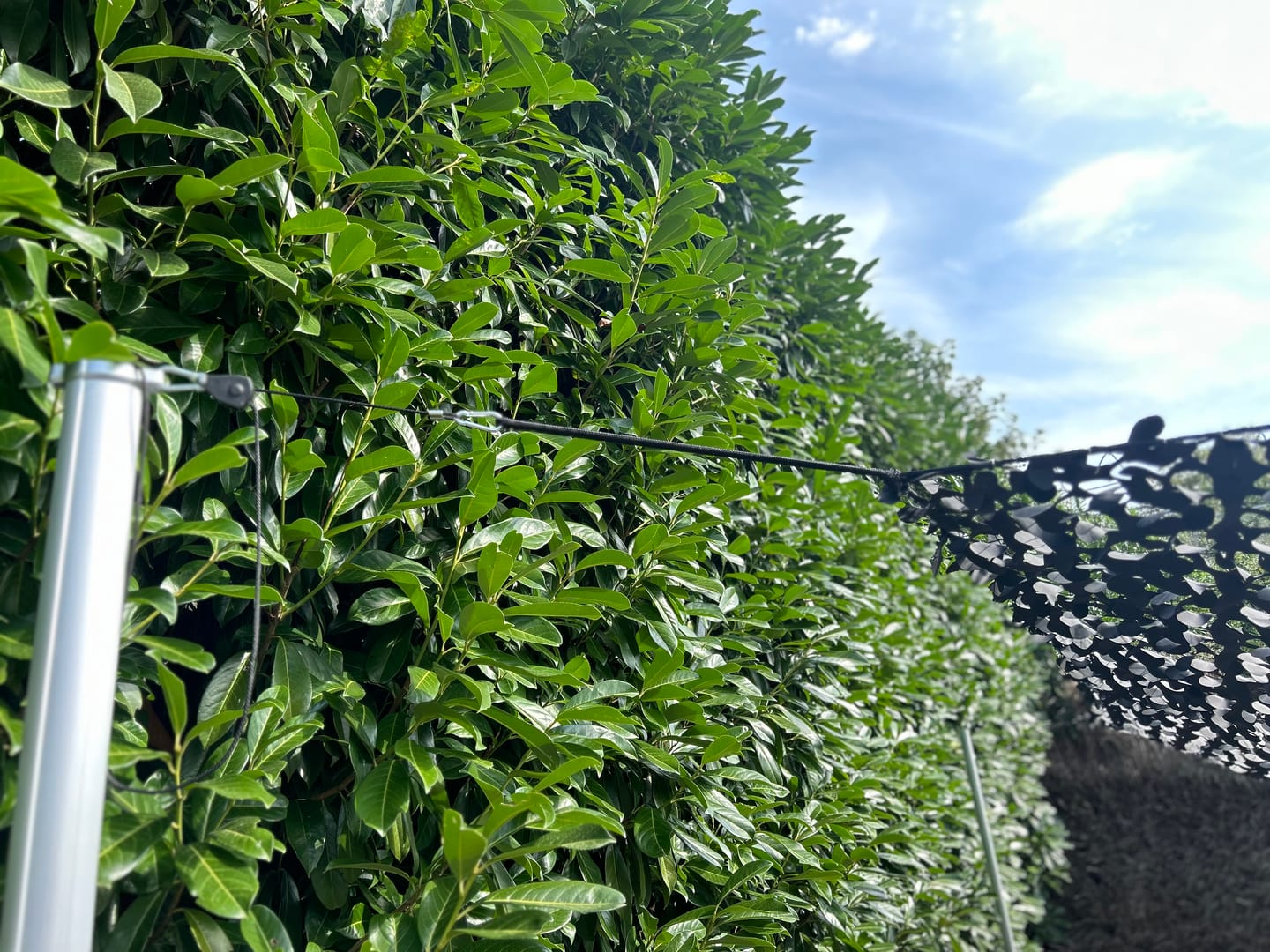 Tensor de cuerda con polea (juego de 4)